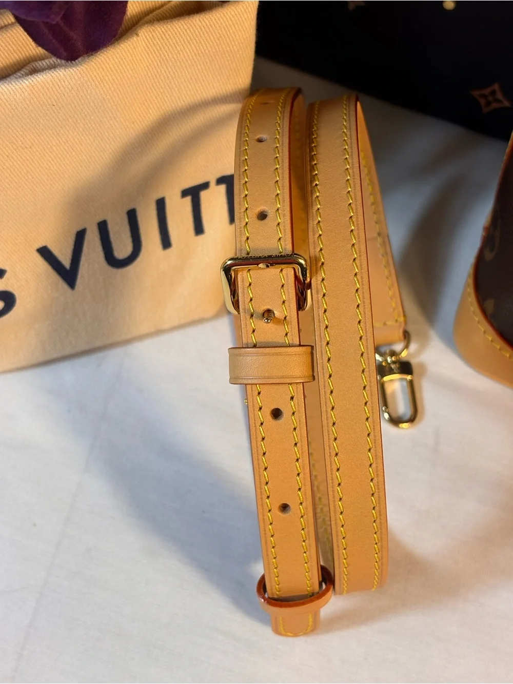 Louis Vuitton Noe Where Vivienne